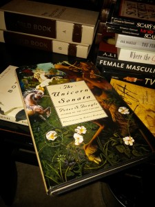 The Unicorn Sonata with art by Robert Rodriguez.